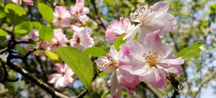 辉南天河宾馆图片