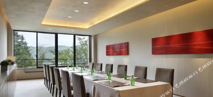 凯悦箱根温泉度假村及水疗中心(Hyatt Regency Hakone Resort and Spa)图片