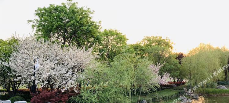 都市118连锁酒店(西安大雁塔小寨地铁站店)图片