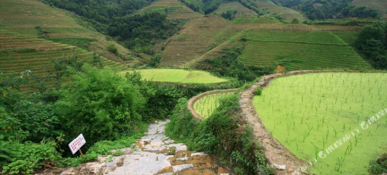 龙胜金坑大寨国际青年旅舍图片