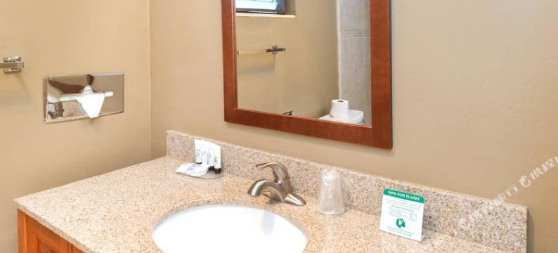 斯文兹加德丹麦小屋美洲最佳价值酒店(Svendsgaard's Danish Lodge-Americas Best Value Inn)图片