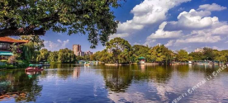 维也纳酒店(昆明经开区店)图片