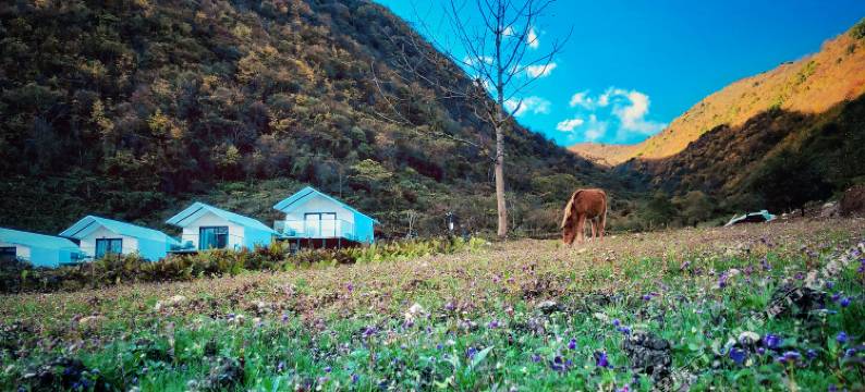 石棉浮云·海子温泉度假酒店图片