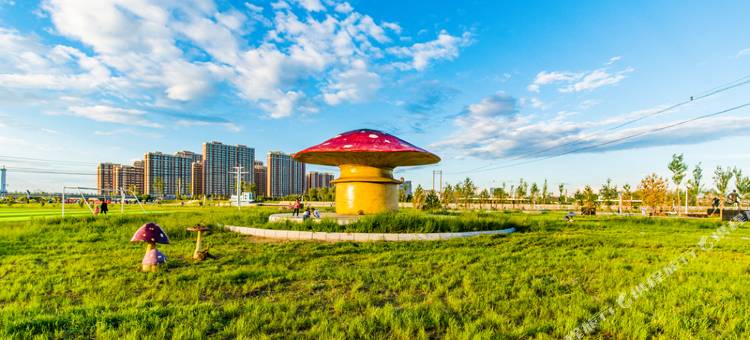 呼伦贝尔草原吉雅假日酒店图片