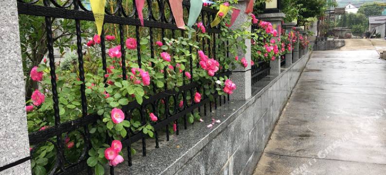 建德柠檬小苑民宿图片