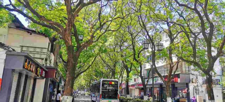 布丁严选酒店(苏州观前拙政园店)图片