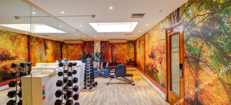 伦敦肯辛顿国敦塔拉酒店(Copthorne Tara Hotel London Kensington)图片