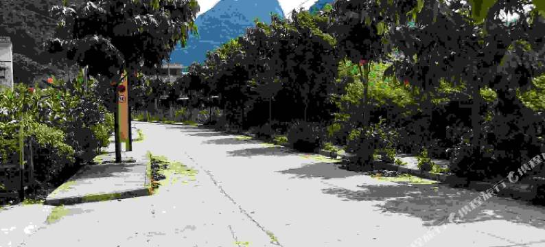 大新黑水河畔隆盛农家乐图片