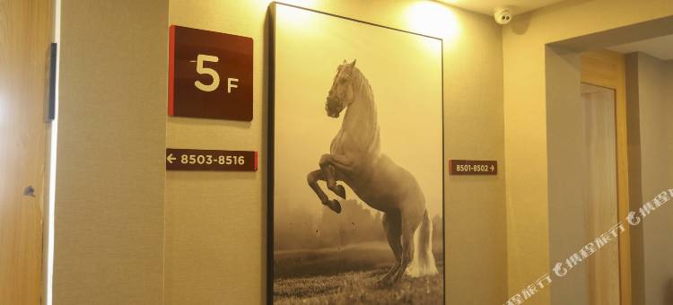 骏怡连锁酒店(银川清河北街店)图片