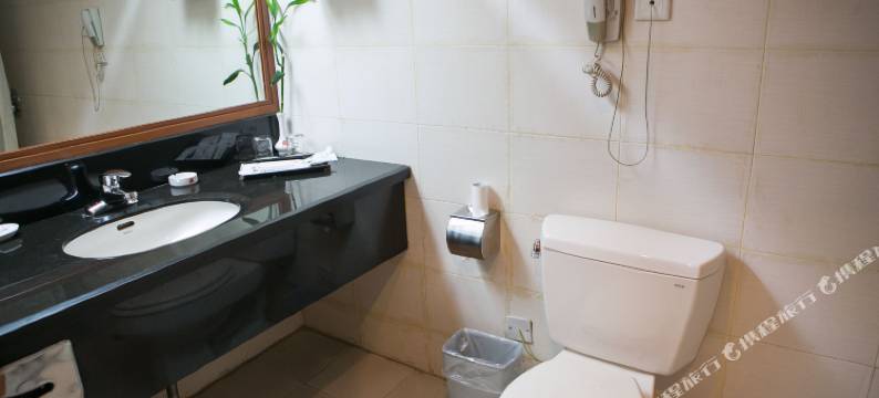 新昌鹤群大酒店图片