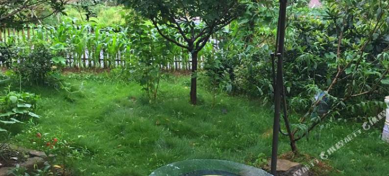 莫干山沁心阁图片