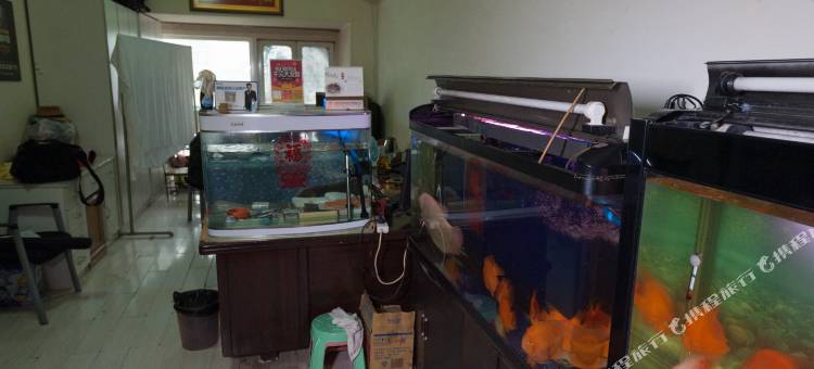 天津城中诚民宿图片