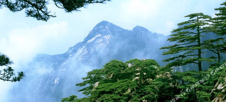 罗田兄弟驿站图片