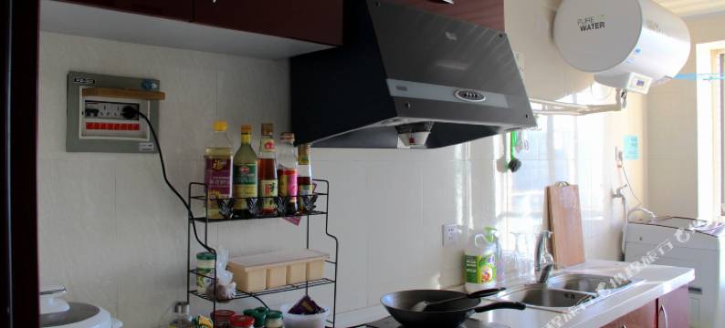 昆明流浪猫念夏火车站店图片