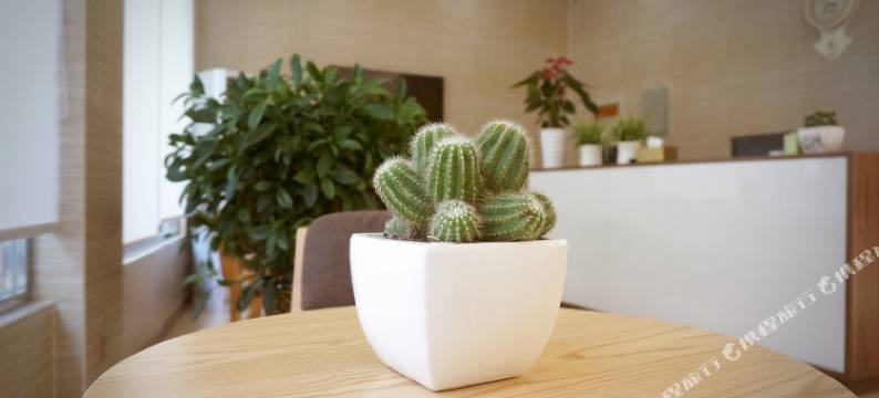 新津君庭民宿图片