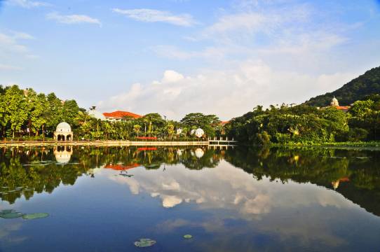 广州碧桂园凤悦凤凰城酒店图片