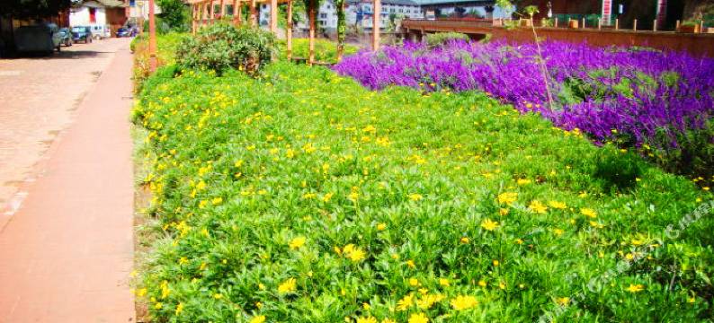 禄丰市王家大院客栈图片