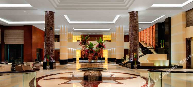 Radisson Blu Hotel, Cebu(Radisson Blu Hotel, Cebu)图片