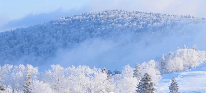 雪谷丁子涵时尚家庭旅馆图片
