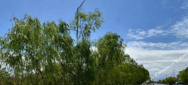 嘉峪关悦盛宾馆图片