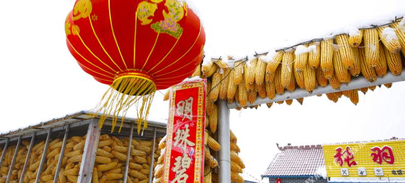 雾凇岛张羽客栈图片