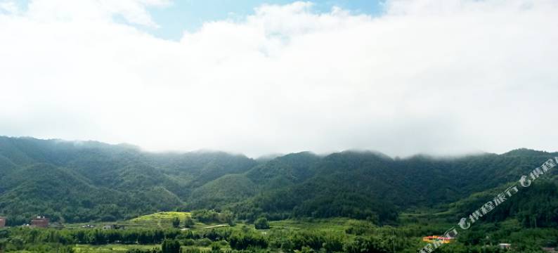 新丰梅东温泉宾馆(梅中大道分店)图片