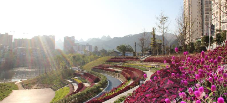 荔波城市花园酒店图片