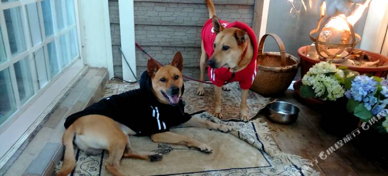 新北海华休闲别墅图片