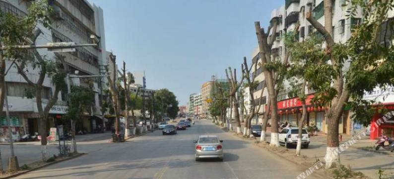 卡尔顿酒店(潮阳棉新大道店)图片