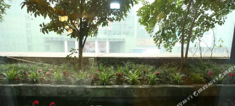 成都宿归酒店(天府广场店)图片