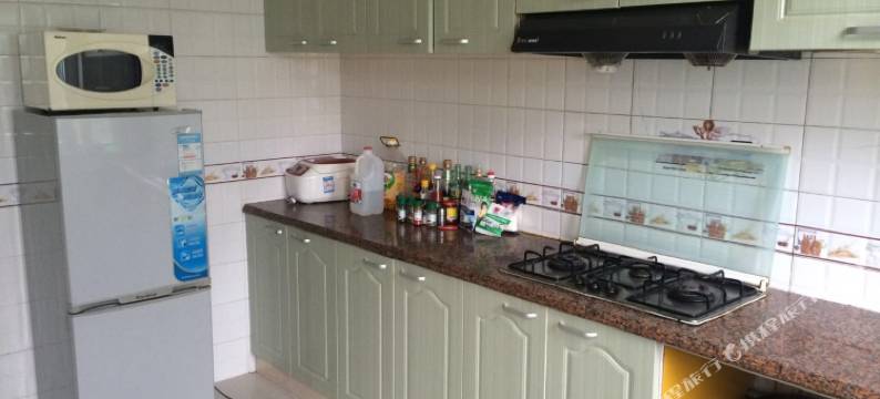 上海HOHO别墅图片