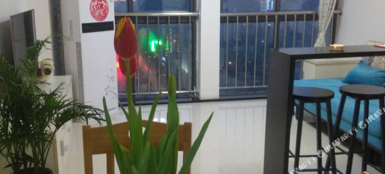 黄山天一国际公寓图片