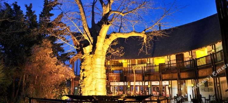 克里斯塔莫瓦讷野外水疗度假村(Cresta Mowana Safari Resort & Spa)图片