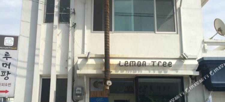 柠檬树旅馆 1 号 - 青年旅舍(Lemon Tree Guesthouse 1 - Hostel)图片
