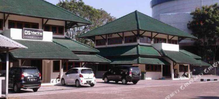 DS CoLive 玛丽娜(DS CoLive Marina)图片