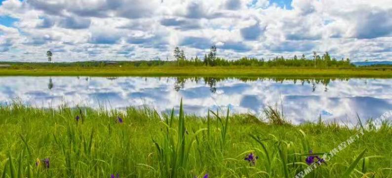 汤旺亚欧巄城堡酒店图片