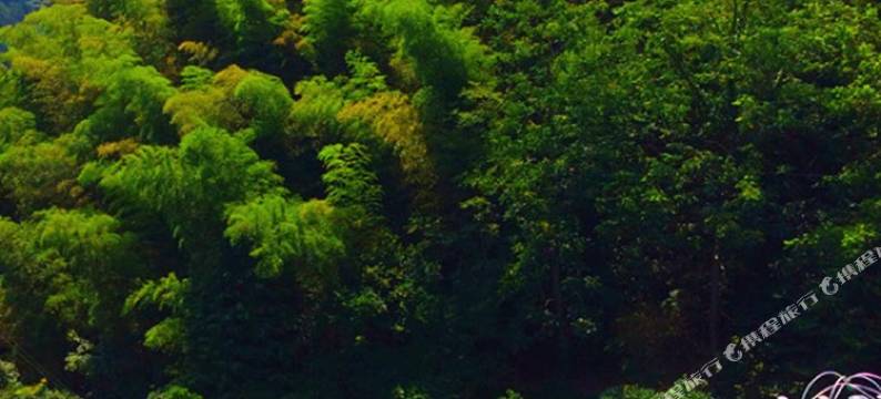 楠竹湾客栈图片