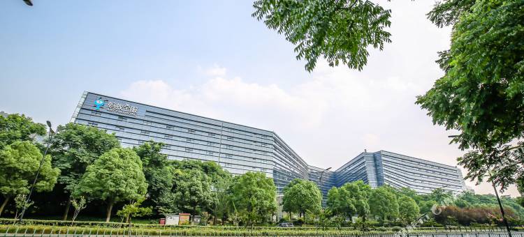 杭州西溪小家复式图片
