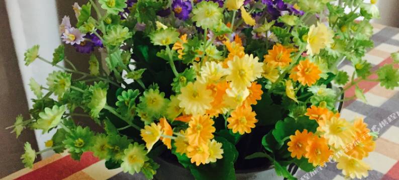 余姚雅集独栋别墅图片