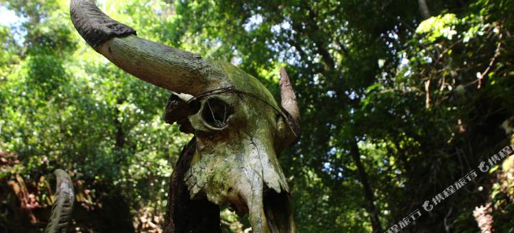 西盟秘境佤寨稻田庄园图片