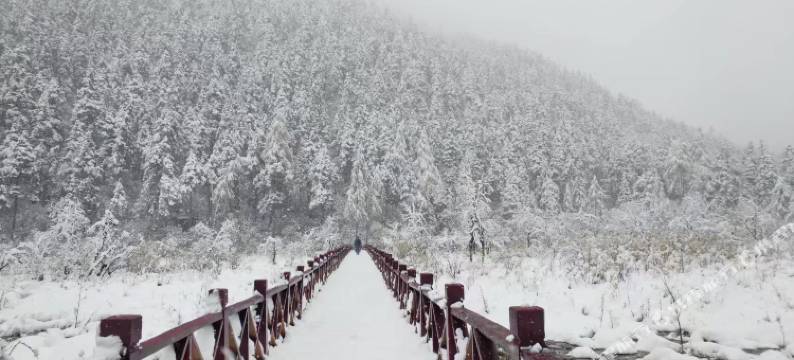 理县金源宾馆图片