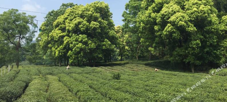 西湖独栋别墅图片