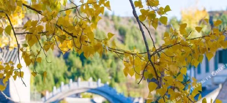 云裕居客栈(北京汤市街店)图片