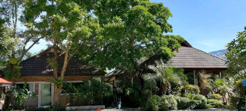 泰式现代度假村及水疗中心“全新装修”(Thai Modern Resort & Spa "Newly Renovated")图片
