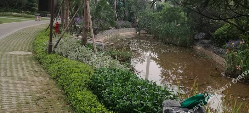 肇庆恒大鼎湖豪庭普通公寓图片