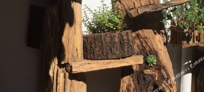 丽江朴素纳西小院客栈图片