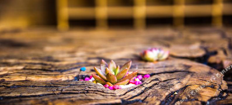 丽江大研古城鹿先生情怀观景客栈图片