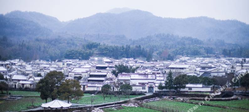 西递茶香徽舍图片