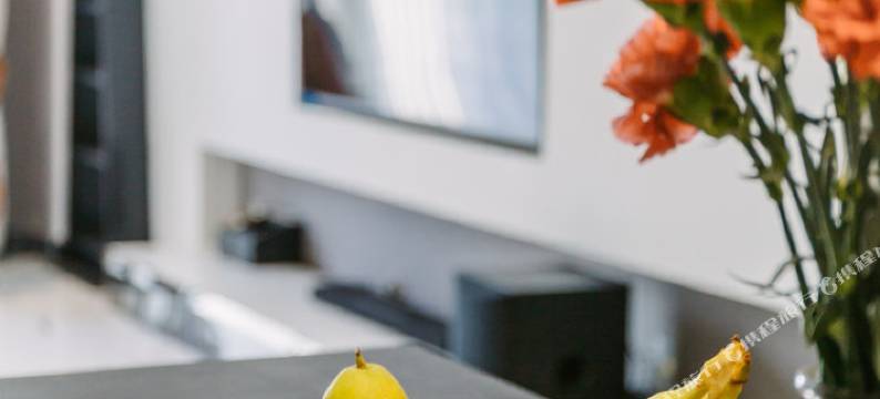 成都设计师良木栖普通公寓图片