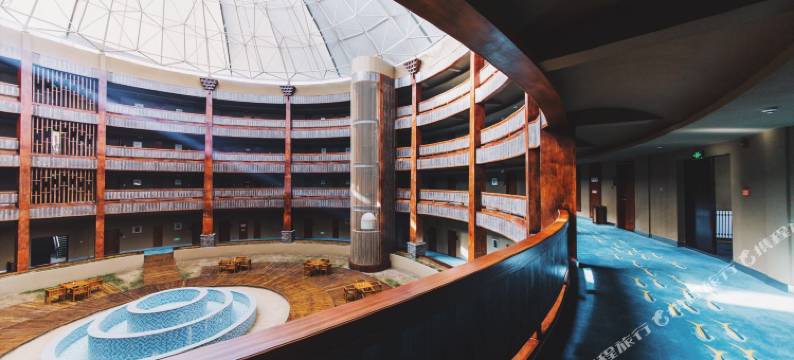 刚察蕃域藏城林卡酒店图片